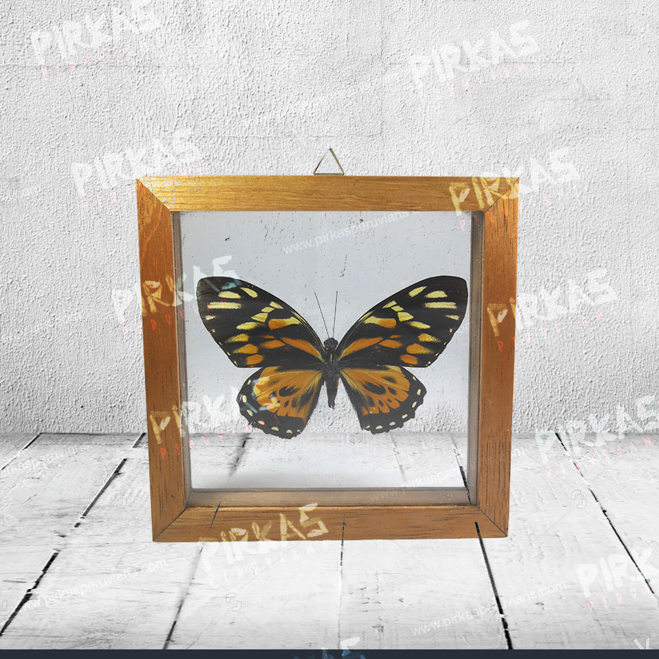 MARIPOSA-EN-MARCO-DE-MADERA